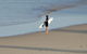 Oceanview BeachHouse - thumb 2