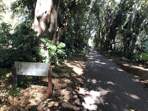 One Bedroom Cottage Close To Adelaide CBD - Nambucca Heads Accommodation 3