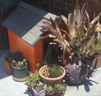 Orange Grove Hotel - Nambucca Heads Accommodation