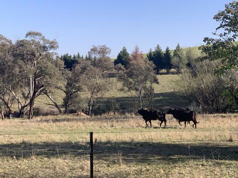 OConnell Retreat BnB - Nambucca Heads Accommodation 1