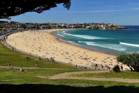 Picturesque Bellevue Hill 2BR Apt.+ Courtyard - Nambucca Heads Accommodation 1