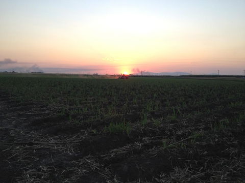 Plantation Park Motor Inn - Nambucca Heads Accommodation 3