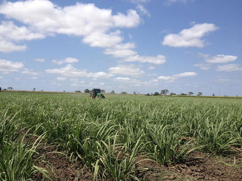 Plantation Park Motor Inn - Nambucca Heads Accommodation 2