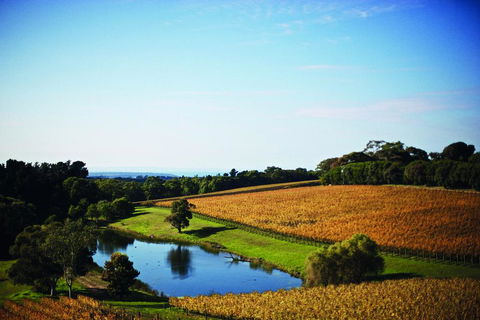 Port Phillip Estate - Nambucca Heads Accommodation 2