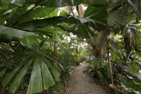 Rainforest Castaways Resort And Spa - Nambucca Heads Accommodation 1