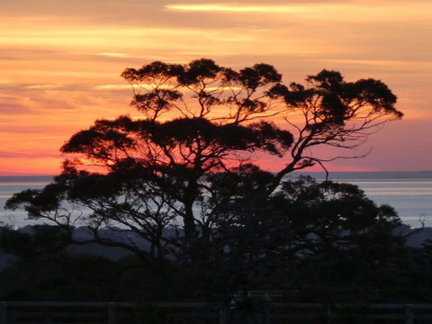Red Hill Ridge - Nambucca Heads Accommodation 1