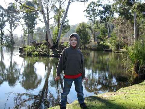 RiverCottage-selfcontained - Nambucca Heads Accommodation 2