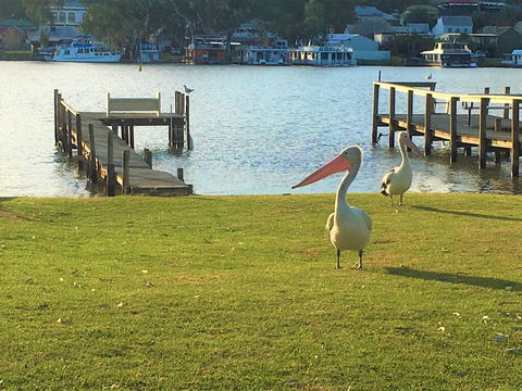 Riverfront Getaway - Mannum - Nambucca Heads Accommodation 0