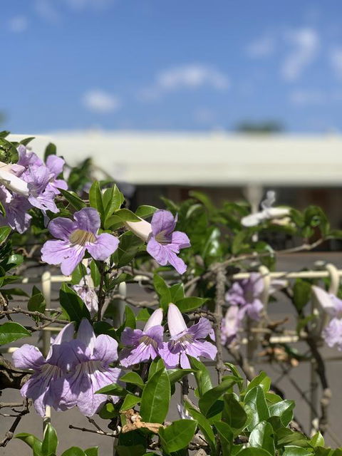 Riverland Motor Inn - Nambucca Heads Accommodation 3
