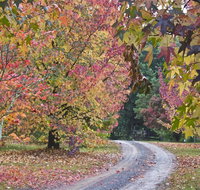 Rustic Spirit - Nambucca Heads Accommodation