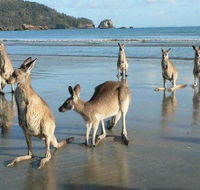 Seaforth Holiday Units - Nambucca Heads Accommodation