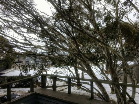 Secret Hut - Nambucca Heads Accommodation 1