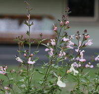 Serendipity on Allyn - Nambucca Heads Accommodation