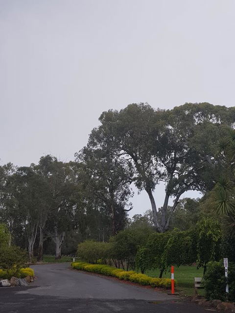 Seymour Motel - Nambucca Heads Accommodation 3