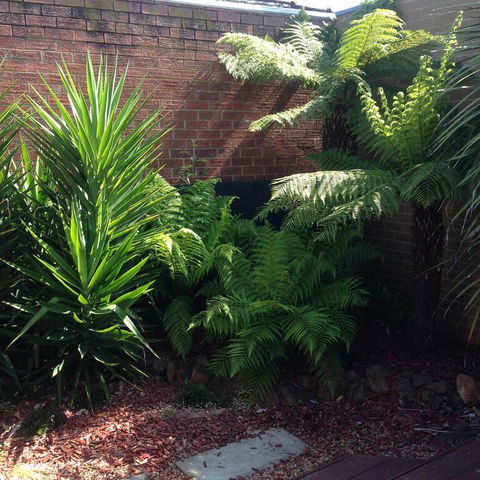 Short Stays Gippsland Trafalgar - Nambucca Heads Accommodation 3