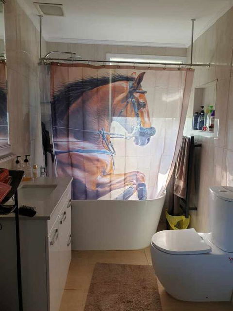 Silverbirch Cottage - Nambucca Heads Accommodation 3