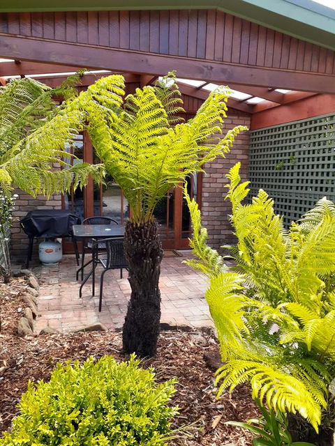 Sleepy Hollow Hideout (Hidout 2) - Nambucca Heads Accommodation 1