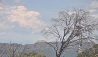 Book Mount Buller Accommodation Vacations Nambucca Heads Accommodation Nambucca Heads Accommodation