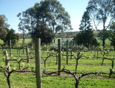 Southern Vales Bed & Breakfast - Nambucca Heads Accommodation 1