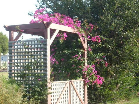 Southern Vales Bed & Breakfast - Nambucca Heads Accommodation 3