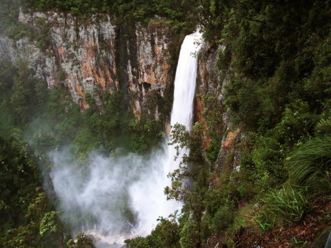 Springbrook Lyrebird Retreat - Nambucca Heads Accommodation 2