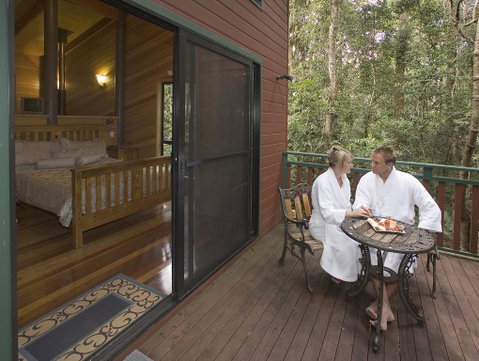 Springbrook Lyrebird Retreat - Nambucca Heads Accommodation 3