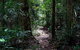 Springbrook Lyrebird Retreat - thumb 0