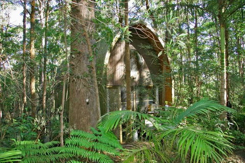 Springbrook Mountain Chalets - Nambucca Heads Accommodation 0