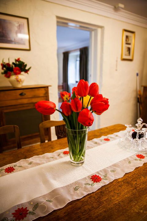 Sunnyside Cottage - Nambucca Heads Accommodation 3