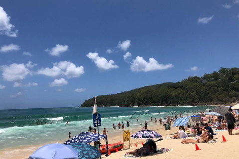 Sunshine Coast Cottage - Nambucca Heads Accommodation 3