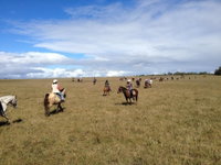 Book Hervey Bay Accommodation Vacations Nambucca Heads Accommodation Nambucca Heads Accommodation