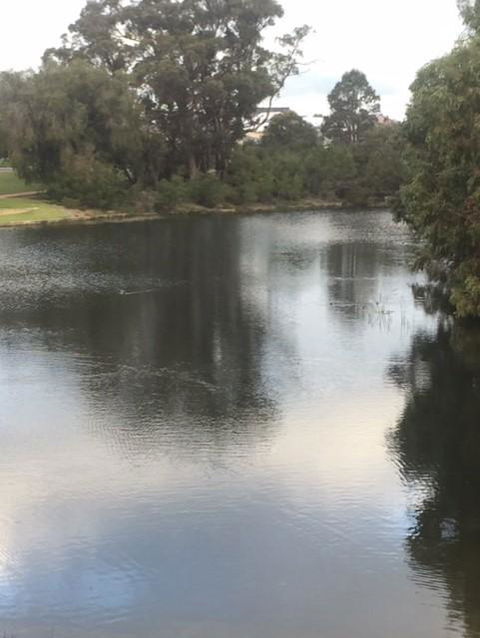 Telperon (2 Rooms, 3-4 Guests) - Nambucca Heads Accommodation 3