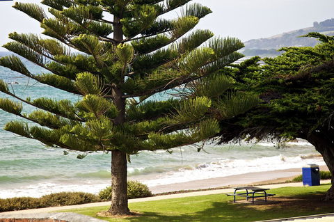 Penguin Beachfront Apartments - Nambucca Heads Accommodation 9