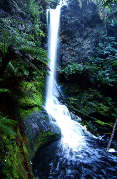 Corinna Wilderness Village - Nambucca Heads Accommodation 40