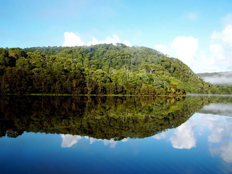 Corinna Wilderness Village - Nambucca Heads Accommodation 36