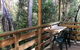 Corinna Wilderness Village - thumb 32