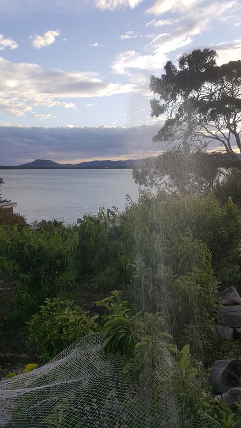 AppleBay Guest House - Nambucca Heads Accommodation 22