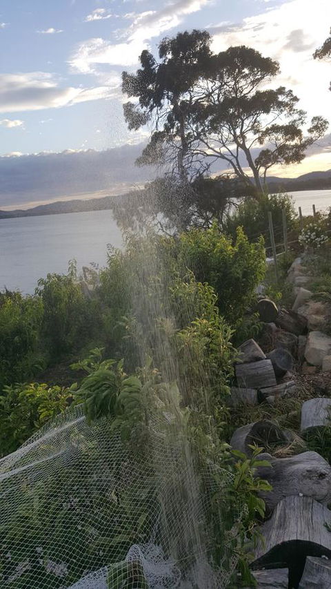 AppleBay Guest House - Nambucca Heads Accommodation 21