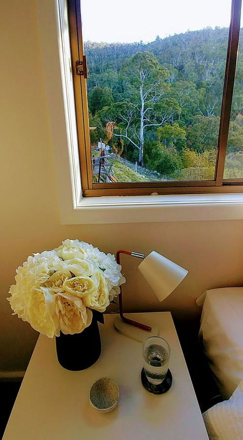 The View 2 Bed Unit With Stunning Hobart Outlook - Nambucca Heads Accommodation 6