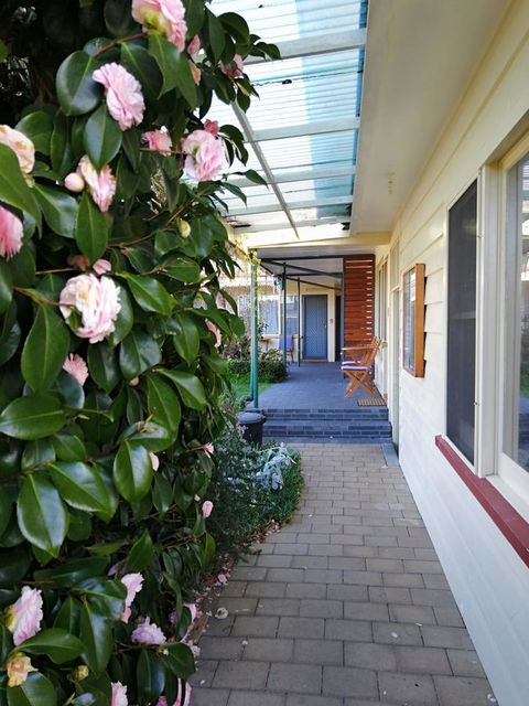 Wintersun Gardens Motel - Nambucca Heads Accommodation 5