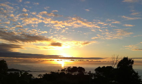 Up The Back - Nambucca Heads Accommodation 33