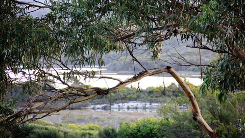 KINGFISHER COTTAGE Beachfront At The Binalong Bay - Nambucca Heads Accommodation 17