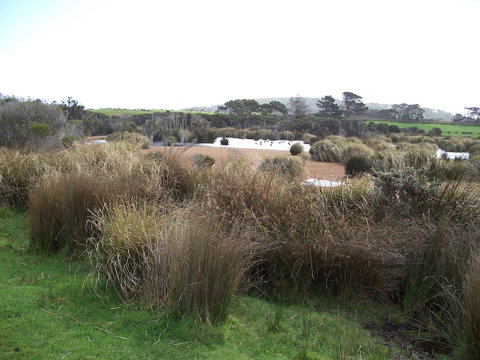 Cloudy Bay Beach House - Nambucca Heads Accommodation 24