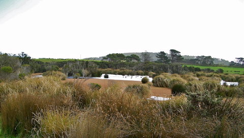 Cloudy Bay Beach House - Nambucca Heads Accommodation 19