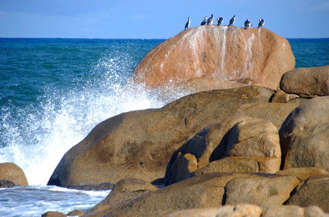 Cloudy Bay Beach House - Nambucca Heads Accommodation 29