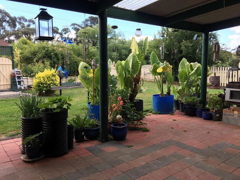 Blue Wren Bungalow - Nambucca Heads Accommodation 0