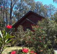 Cradle Mountain Highlanders - Nambucca Heads Accommodation