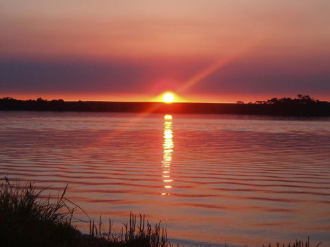 Regatta Point Tavern & Holiday Villas - Nambucca Heads Accommodation 41