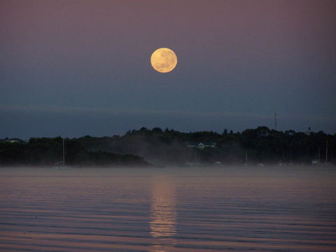 Regatta Point Tavern & Holiday Villas - Nambucca Heads Accommodation 39
