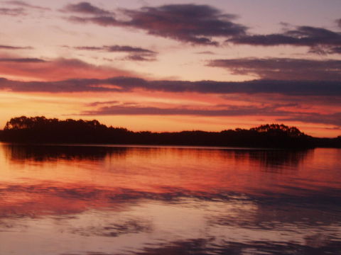 Regatta Point Tavern & Holiday Villas - Nambucca Heads Accommodation 27
